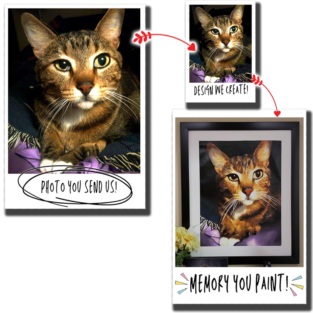 Cat Custom Photo Paint By Numbers