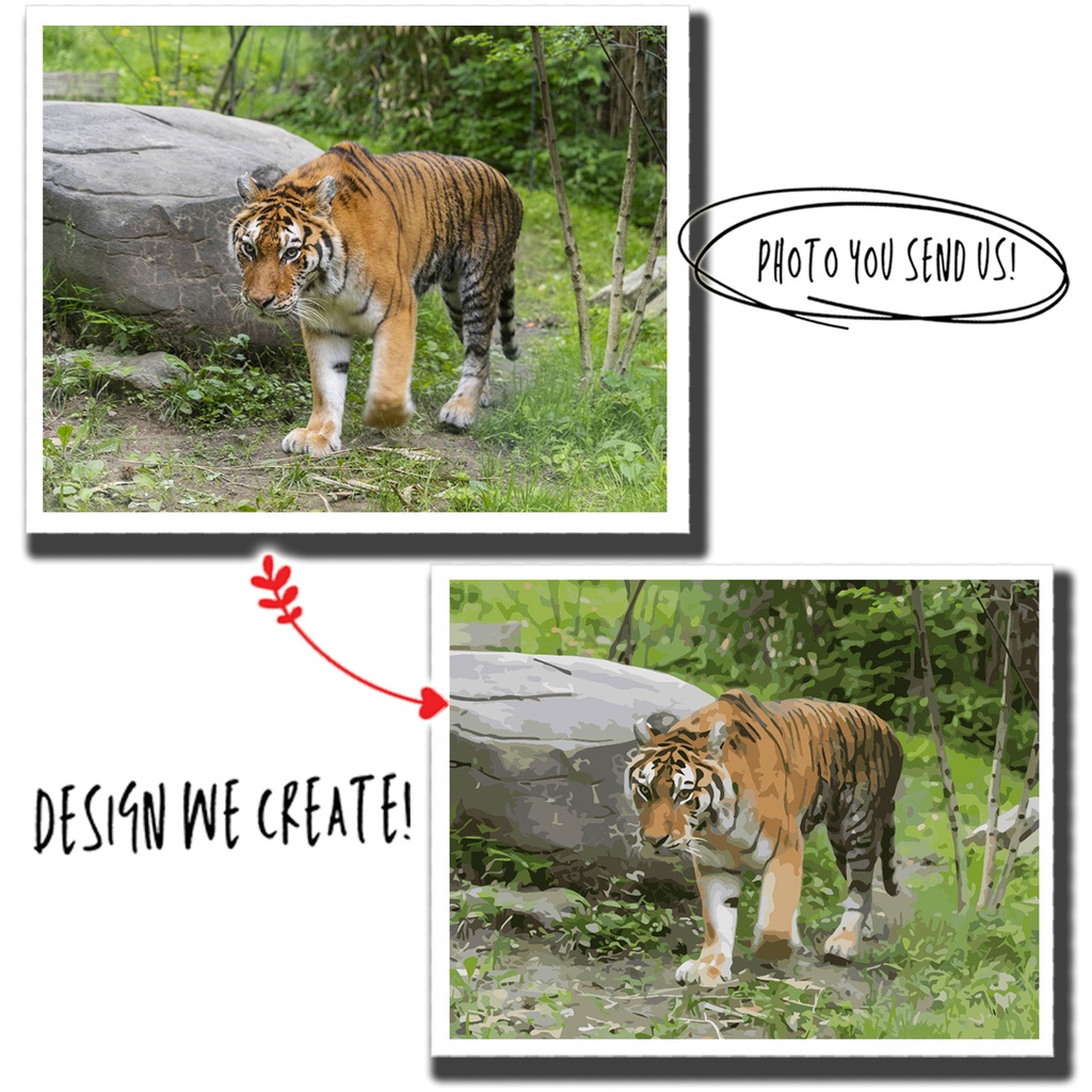 Animal Photo Paint By Number