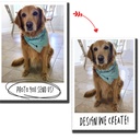 Dog Photo Paint By Number
