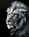 Lion King Of The Jungle - Rolled Paint By Numbers
