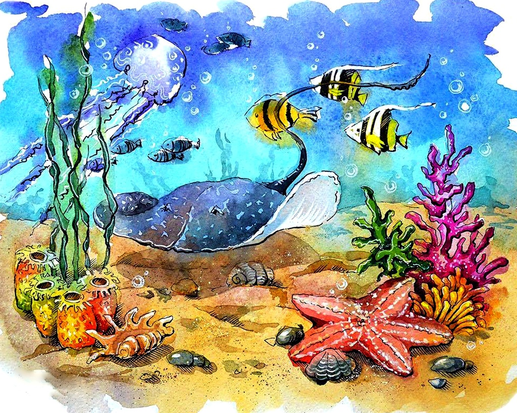 Ocean Life - Rolled Paint By Numbers