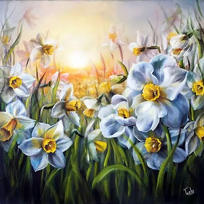 Field Of Daisies - Rolled Paint By Numbers