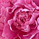Blooming Rose - Rolled Paint By Numbers
