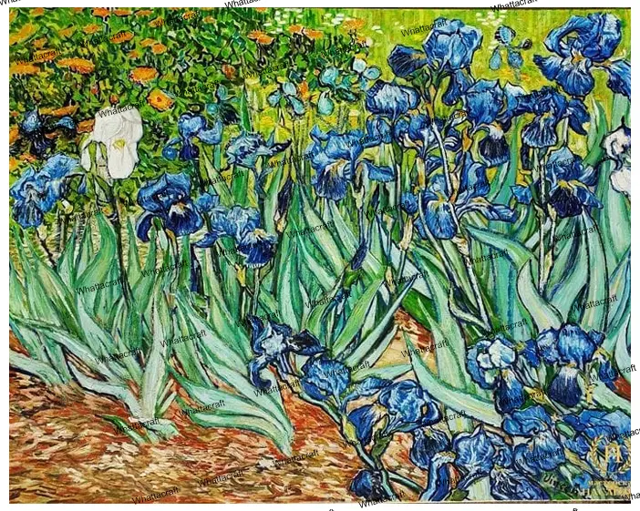 [WAC1-114]  Rose Irises - Rolled Paint By Numbers 