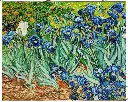  Rose Irises - Rolled Paint By Numbers 