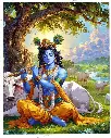  Lord Krishna - Rolled Paint By Numbers 