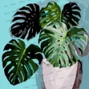 Framed Mini Paint by Numbers - Monstera in a Pot
