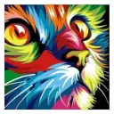 Framed Mini Paint by Numbers - Abstract Cat