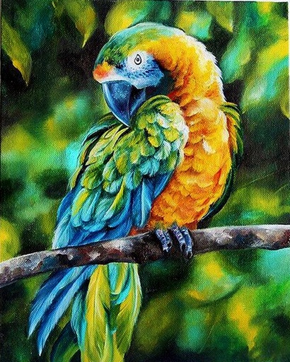 [WAC1-10] Parrot On A Tree - Rolled Paint By Numbers