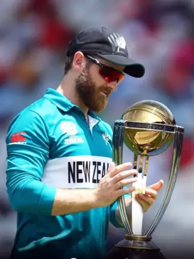 [WAC-151]  Kane Williamson- Rolled Paint By Numbers 
