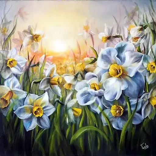 [WAC1-25] Field Of Daisies - Rolled Paint By Numbers