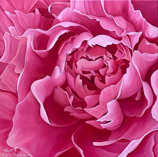 [WAC1-26] Blooming Rose - Rolled Paint By Numbers
