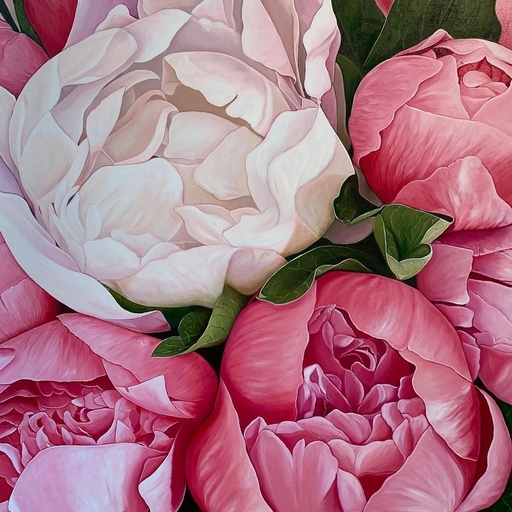[WAC1-27] Pink And White Peonies - Rolled Paint By Numbers